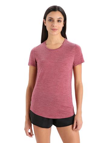 Cherry Heather Women's Icebreaker Merino Sphere II Short Sleeve T Shirts | USA 1567OKIR